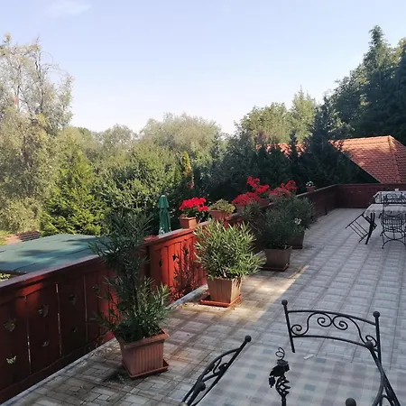 فندق مبيت وإفطار Szepasszony Fogado 3*